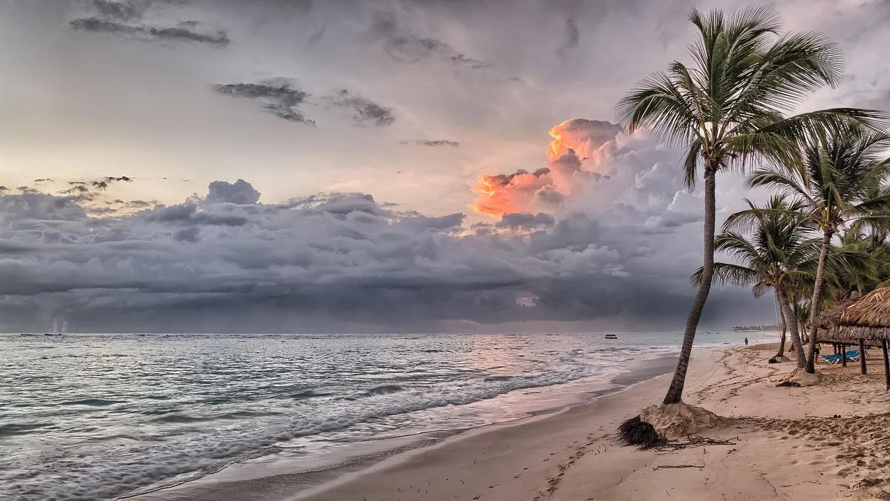 Plage des Caraïbes bordée de palmiers au coucher du soleil
