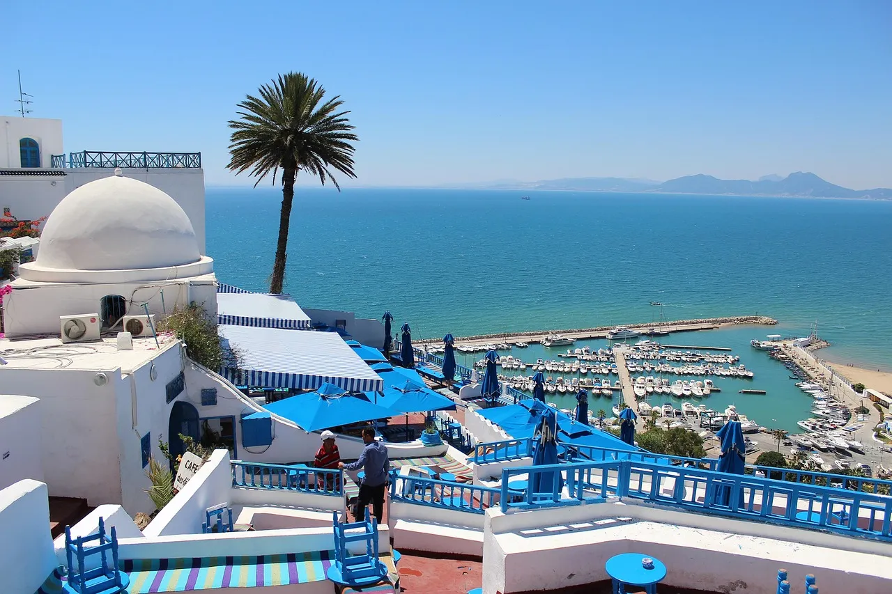 Maisons blanches et bleues de Sidi Bou Saïd face à la mer, en Tunisie