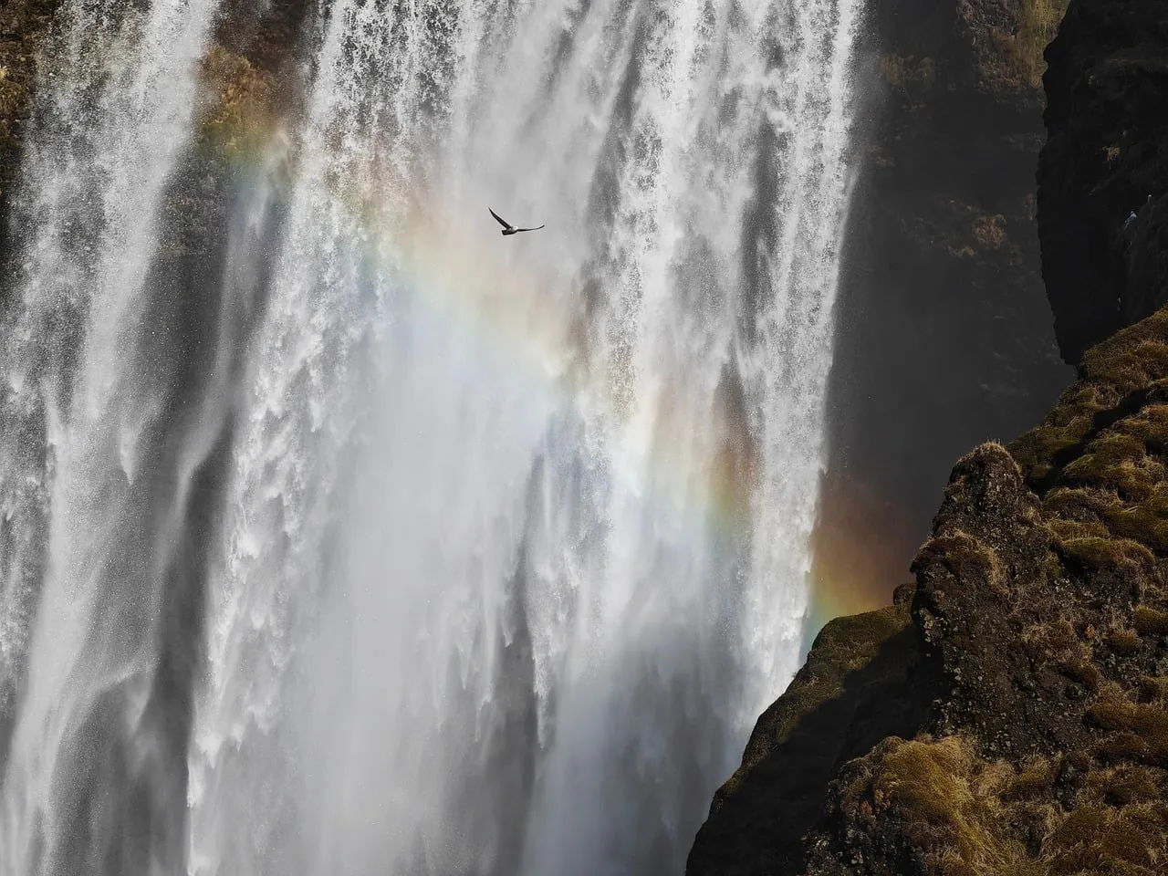 Grande cascade d'Islande